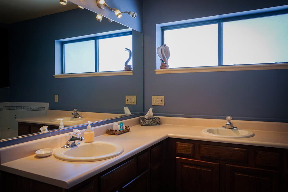 Mt. Princeton Room Double Vanity